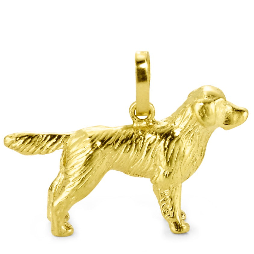 Hanger 750/18K geel goud Golden retriever