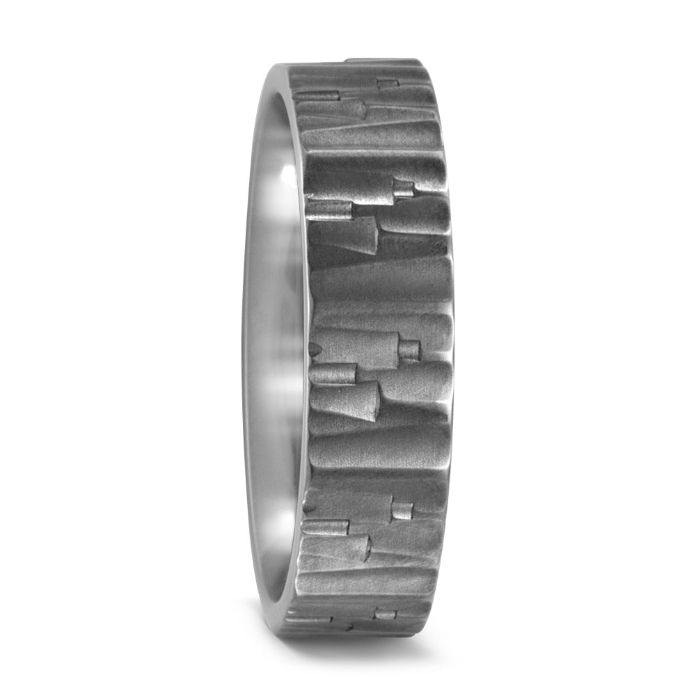 Partnerring Titanium