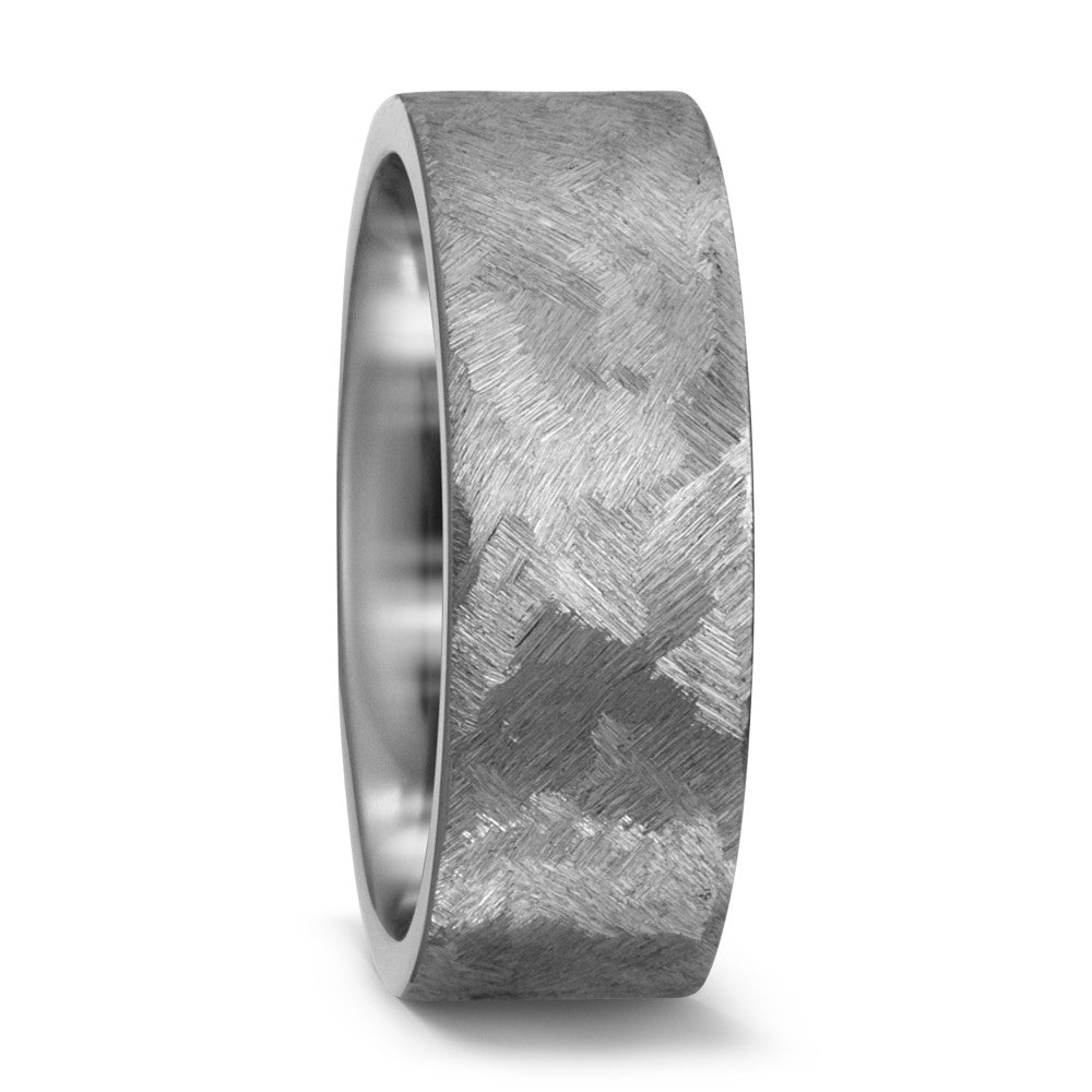 Partnerring Titanium