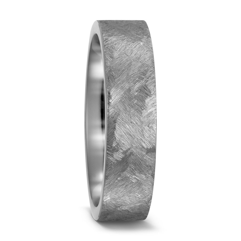 Partnerring Titanium