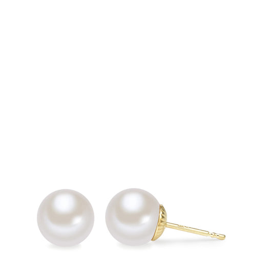 Clous d'oreilles Or jaune 14K perle d'eau douce