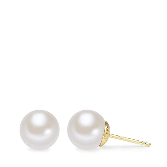 Clous d'oreilles Or jaune 14K perle d'eau douce