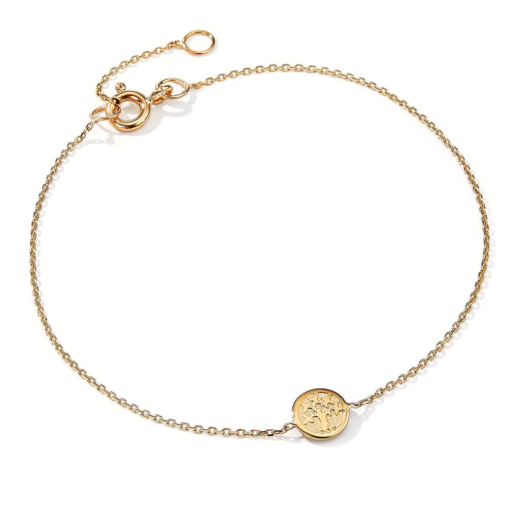 Armband 585/14 krt geel goud Boom van leven 17-19 cm