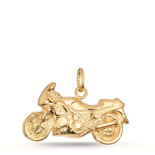 Hanger 375/9 krt geel goud Bi-color Motorfiets